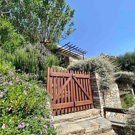 The Old Stone Cottage Karystos  Zewnętrze zdjęcie